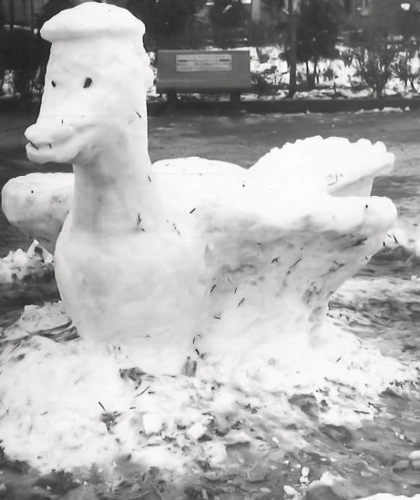 Nevasca em Pato Branco PR 1965