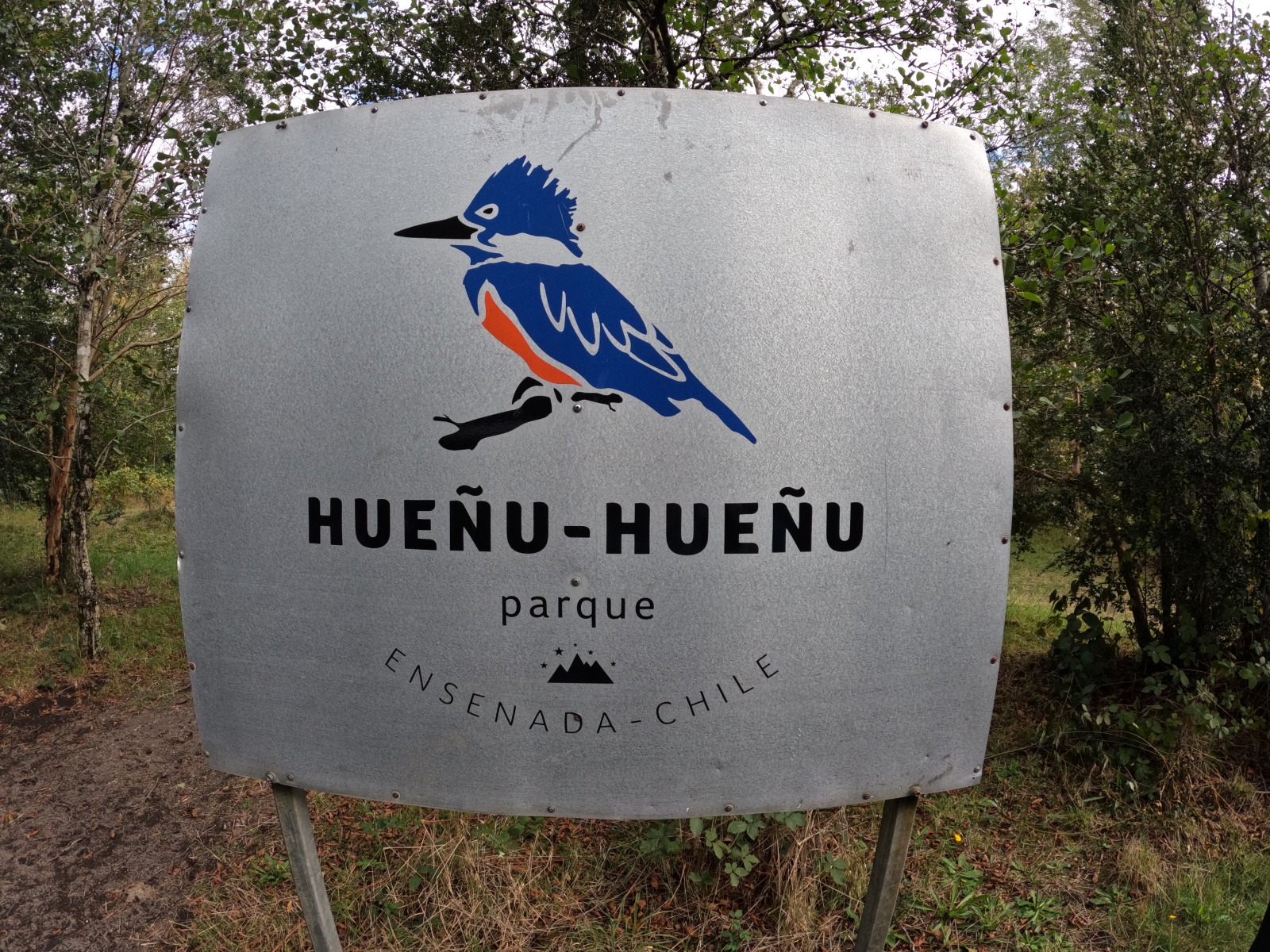 Pescaria Salm�o Chile