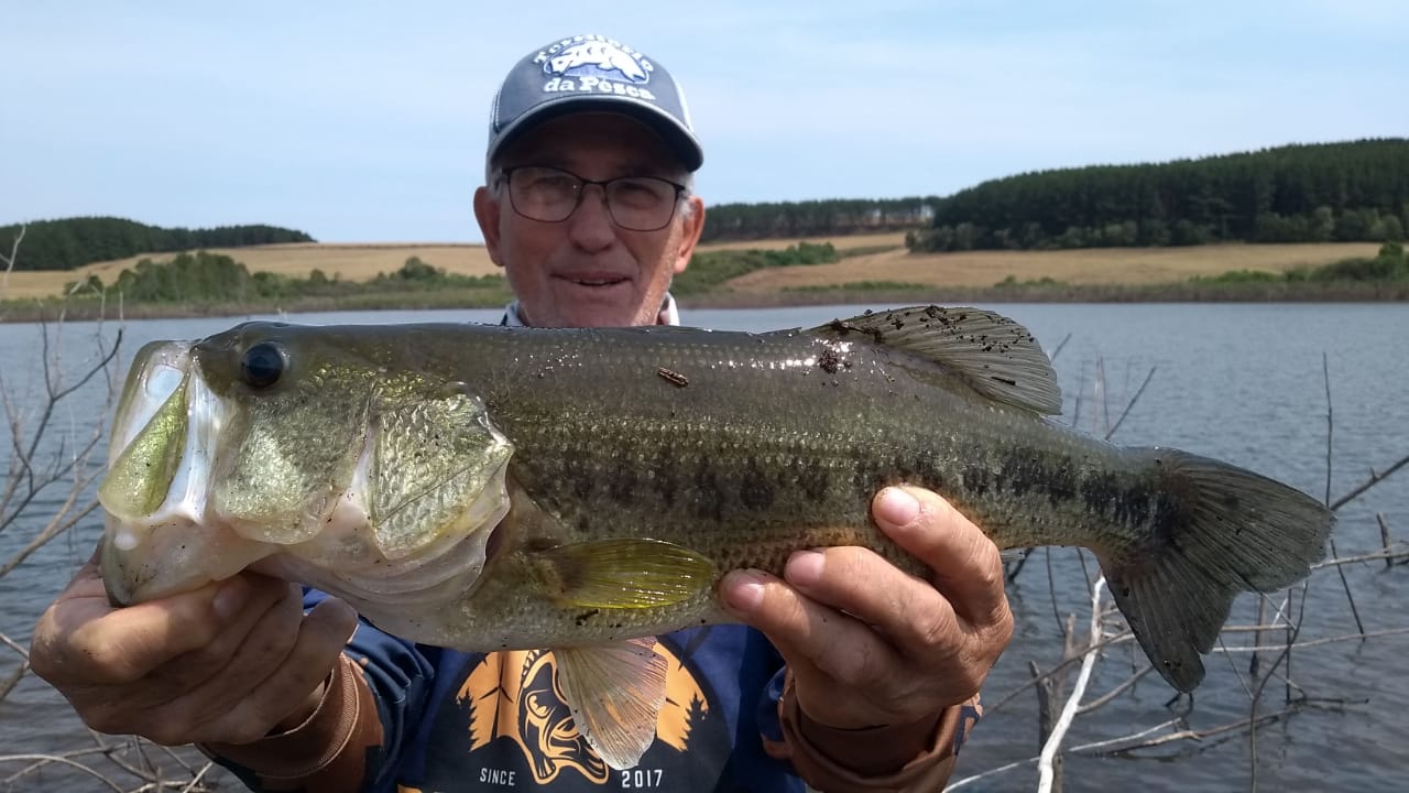 Pescaria Palmas 2023