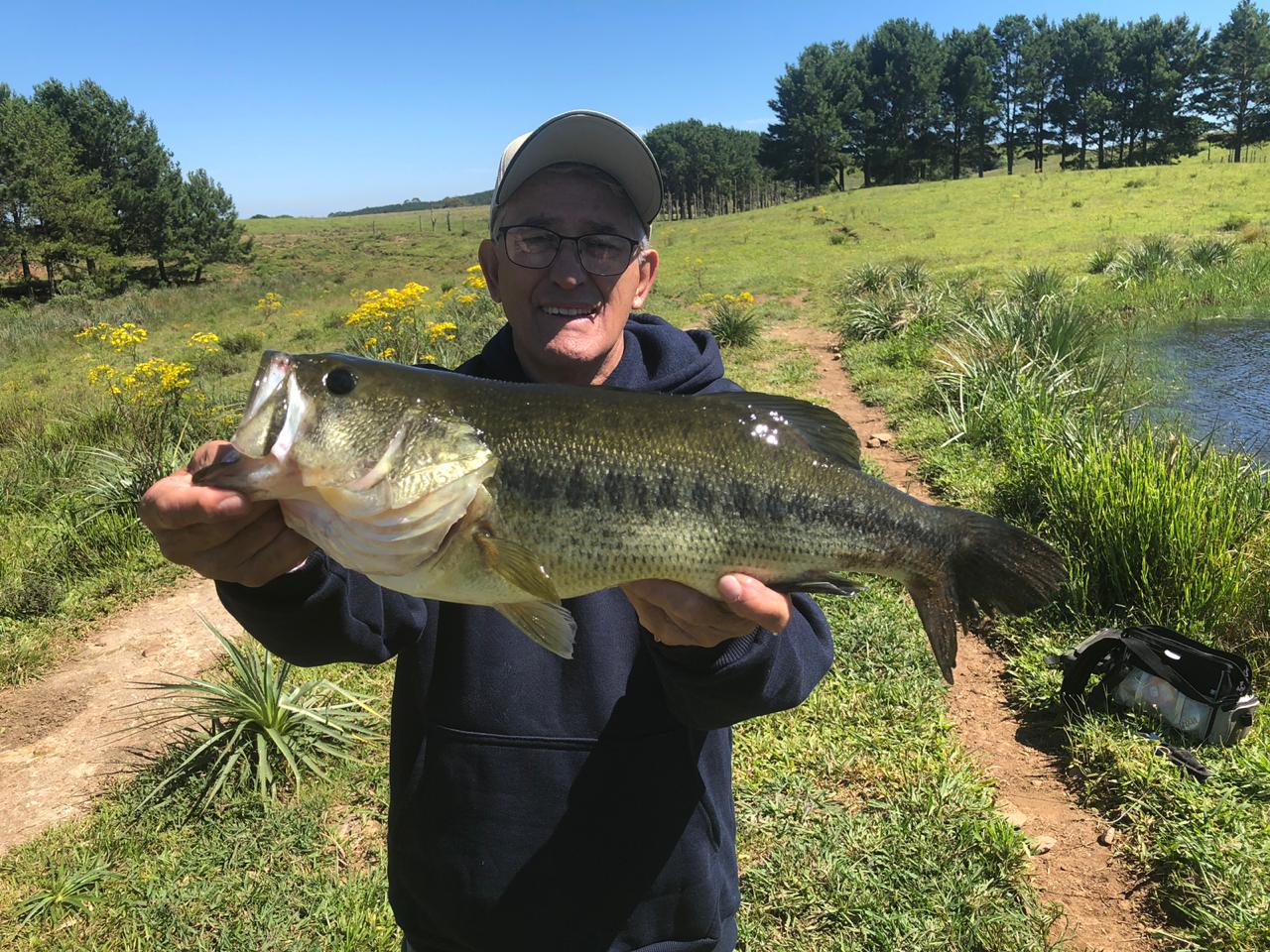 Pescaria Palmas 2023