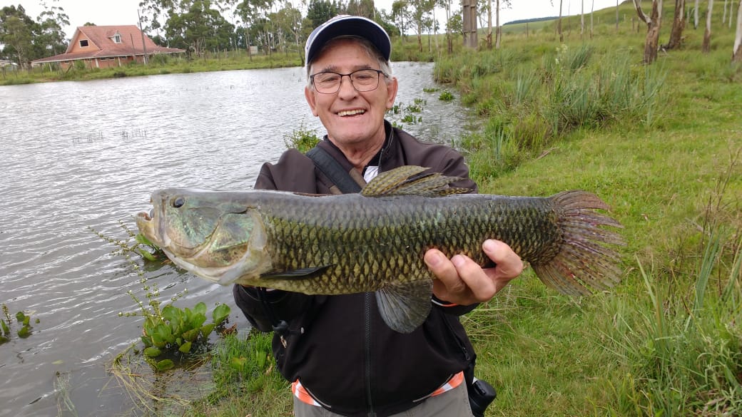 Pescaria Palmas 2023