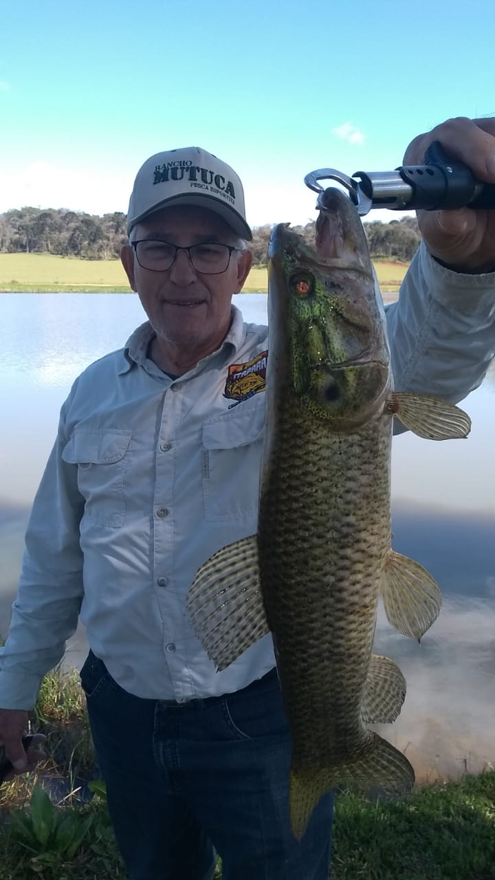 Pescaria Palmas 2023