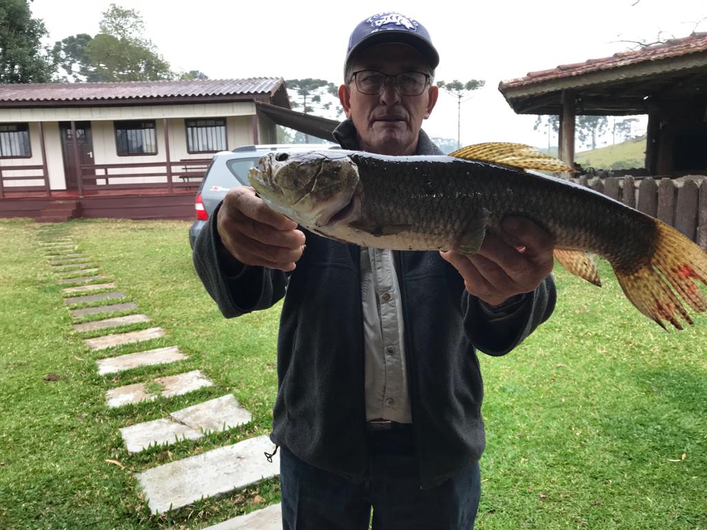 Pescaria Palmas 2023