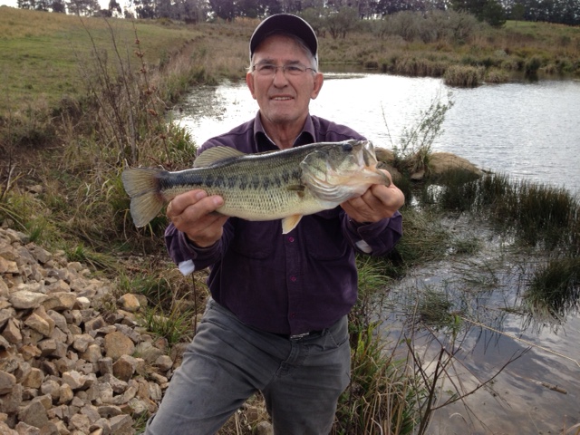 Pescaria Palmas 2023