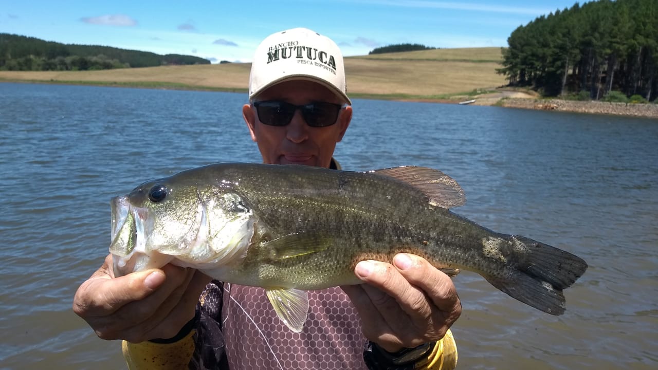 Pescaria Palmas 2023