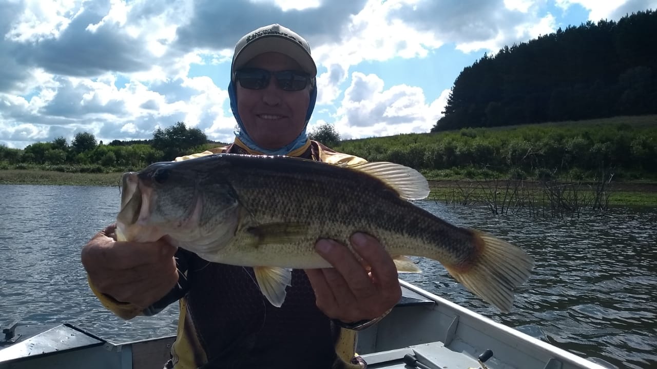 Pescaria Palmas 2023