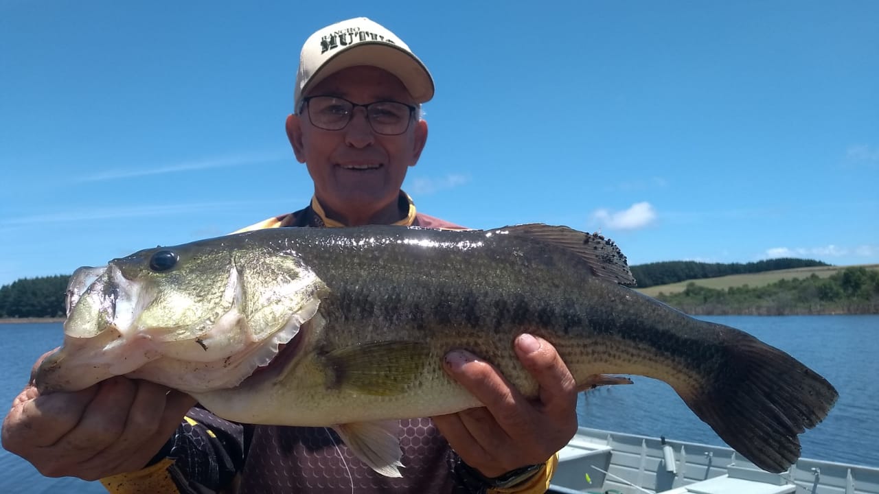 Pescaria Palmas 2023