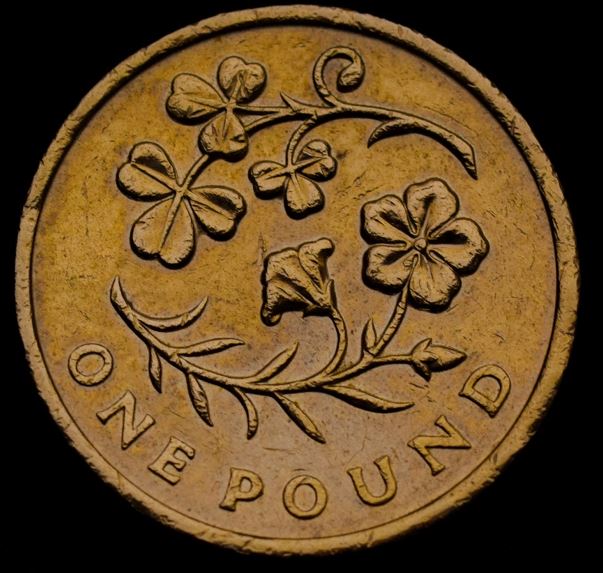 Moeda 1 Libra (Pound) de 2014
