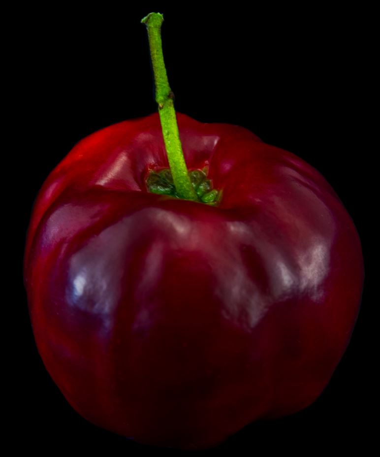 Fruto (Malpighia glabra)