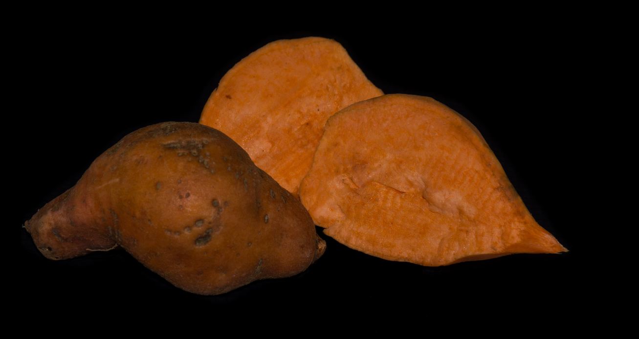Variedade de Polpa Alaranjada (Ipomoea batatas)