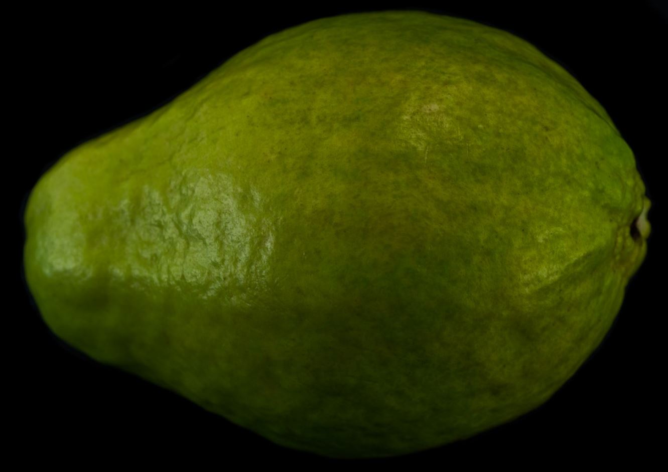 Fruto (Psidium guajava)