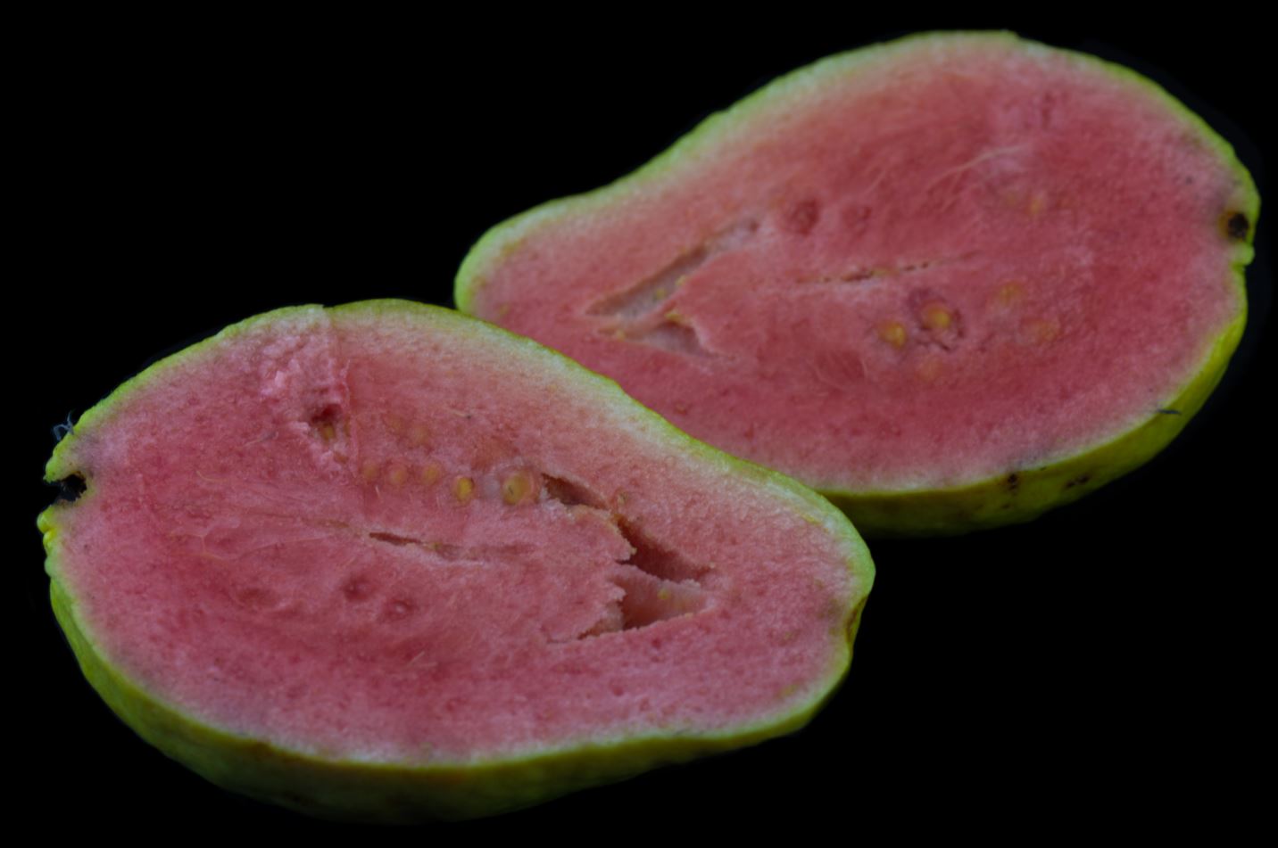 Fruto Aberto (Psidium guajava)