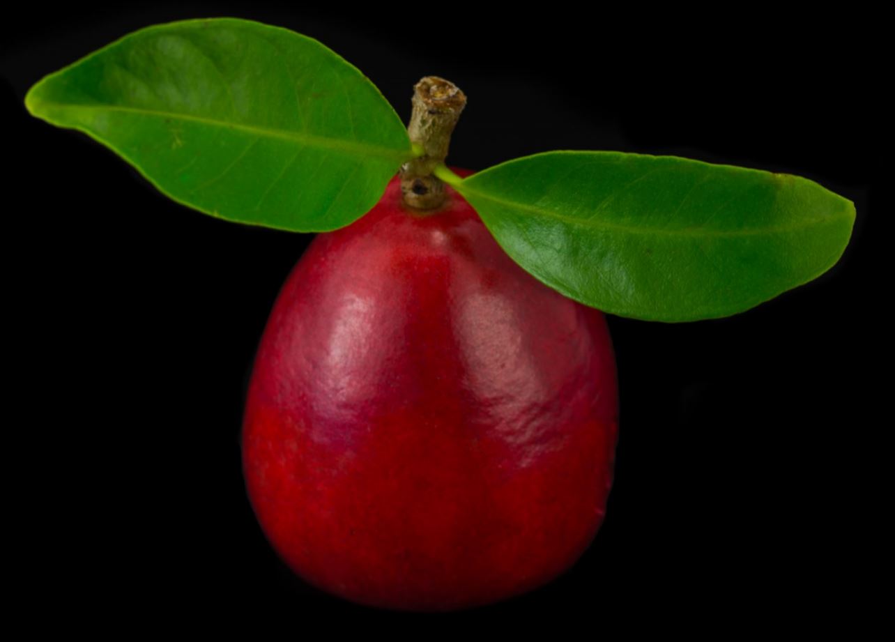 Fruto (Syzygium malaccense)