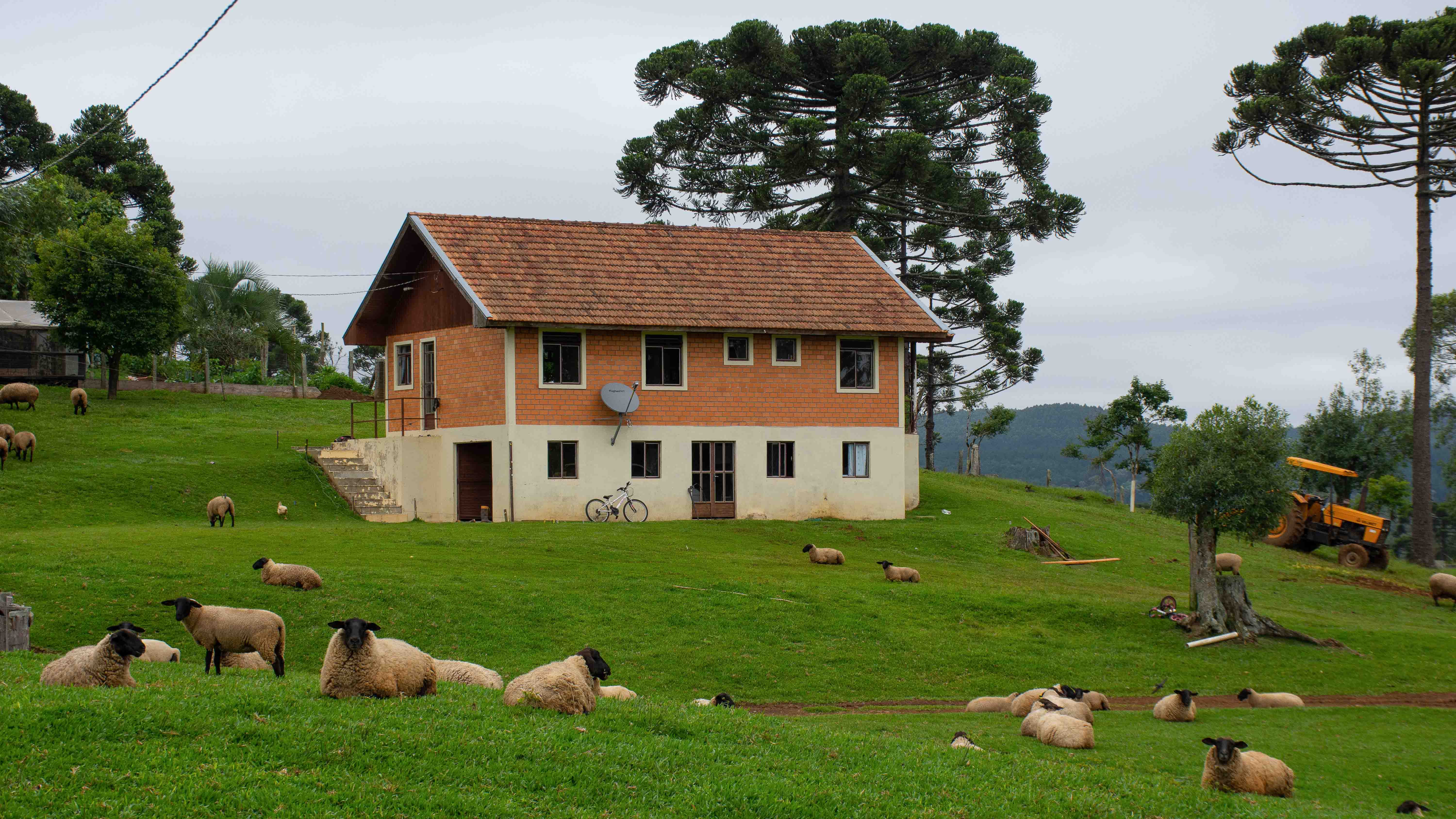 Casa de Dirceu na Fazenda Avestruz
